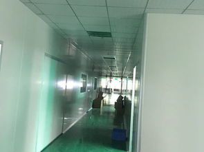 凈化工程案例展示 技術(shù)應(yīng)用與實(shí)踐成效