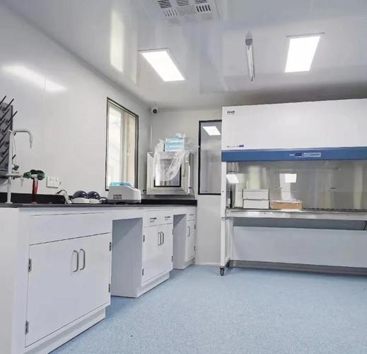 潔凈實(shí)驗(yàn)室凈化工程 高效過(guò)濾與密封膠的極致應(yīng)用