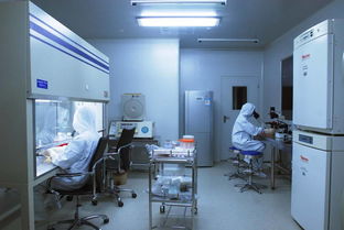 凈化車間潔凈報(bào)價(jià)全解析 廠家選擇與凈化工程要點(diǎn)